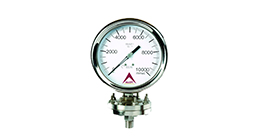pressure gauge PLD